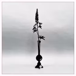 Lupin - VILJA