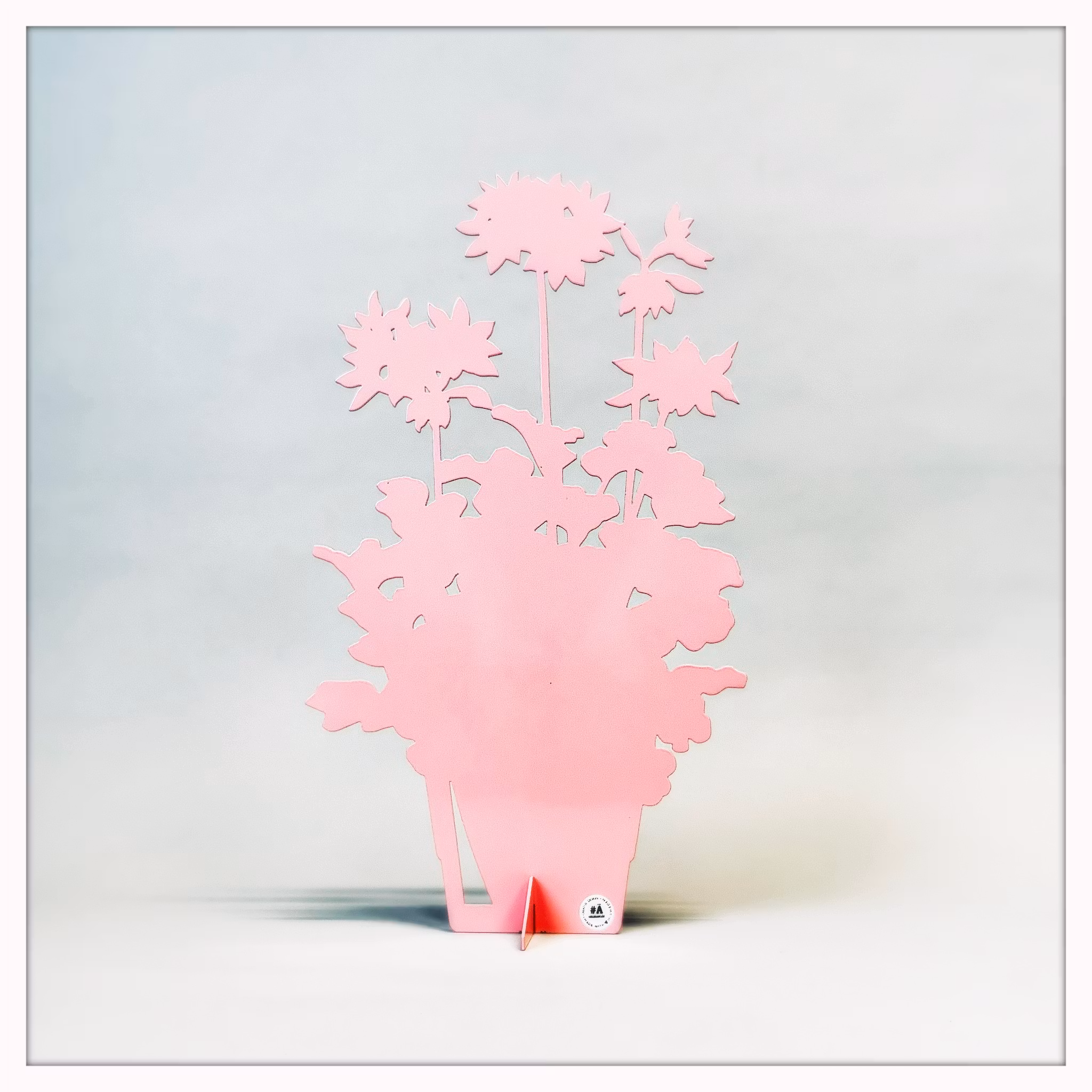 Årets Pelargon 2025 - Summer Twist Rose