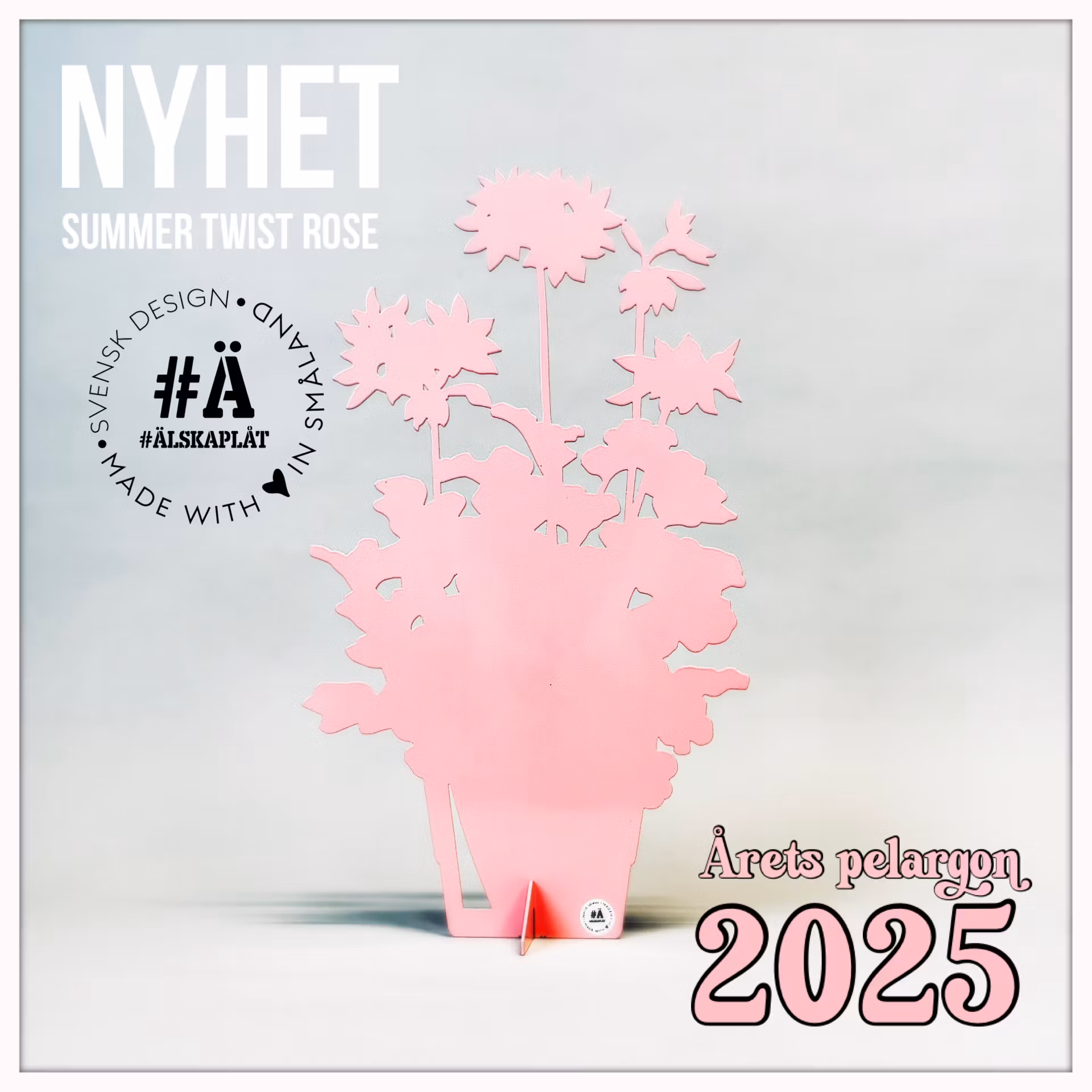 Årets Pelargon 2025 - Summer Twist Rose