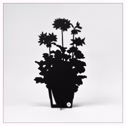 Geranie des Jahres 2025 – Summer Twist Rose