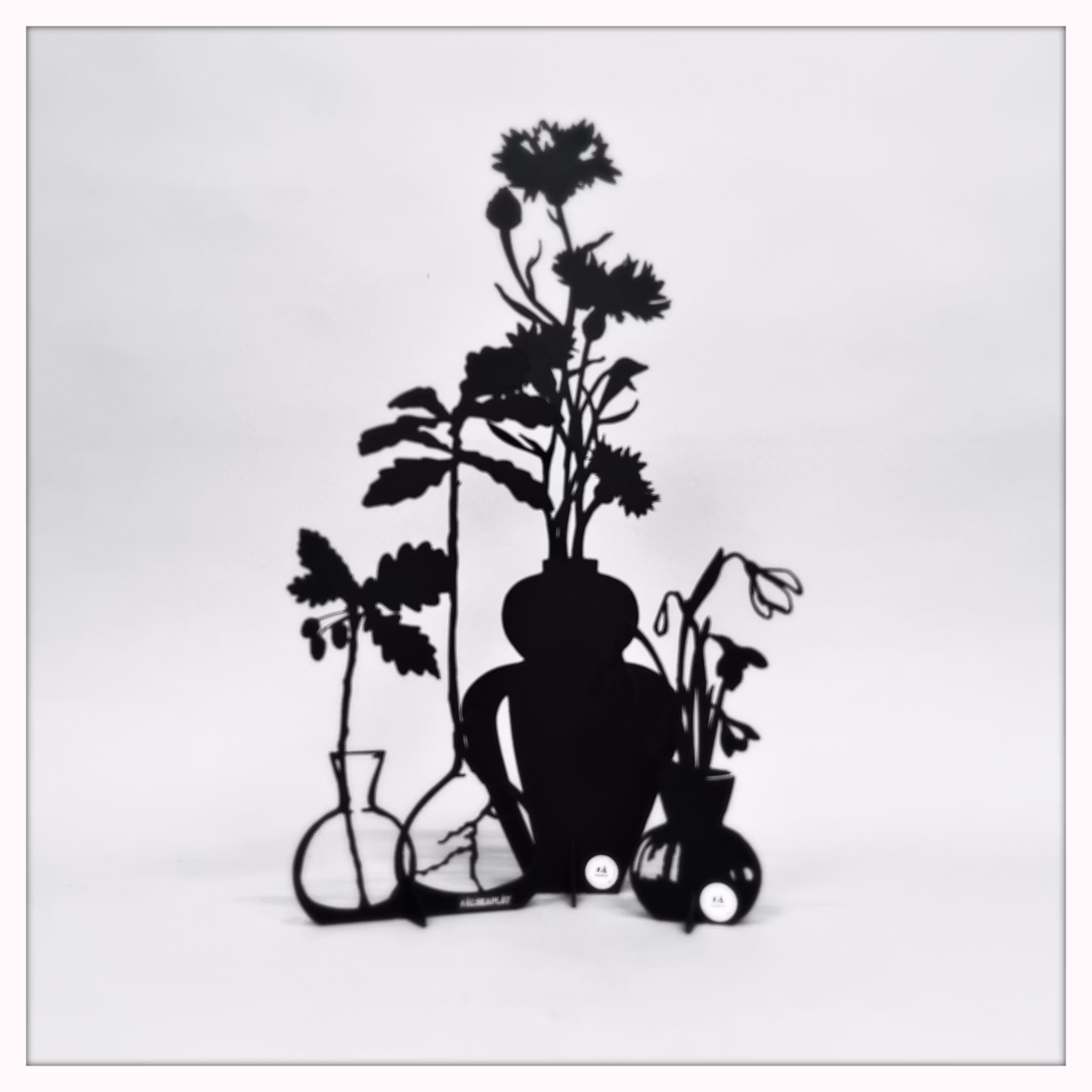 Package - Cornflower, Acorn & Snowdrop
