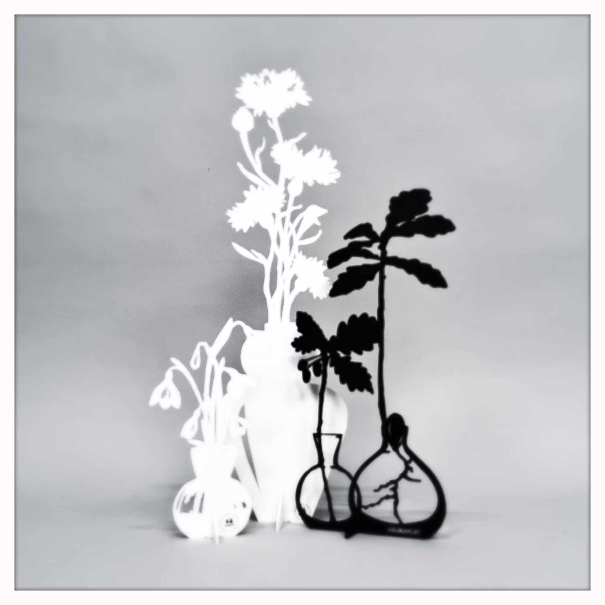 Package - Cornflower, Acorn & Snowdrop