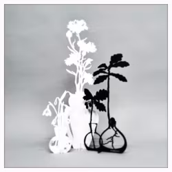 Package - Cornflower, Acorn & Snowdrop