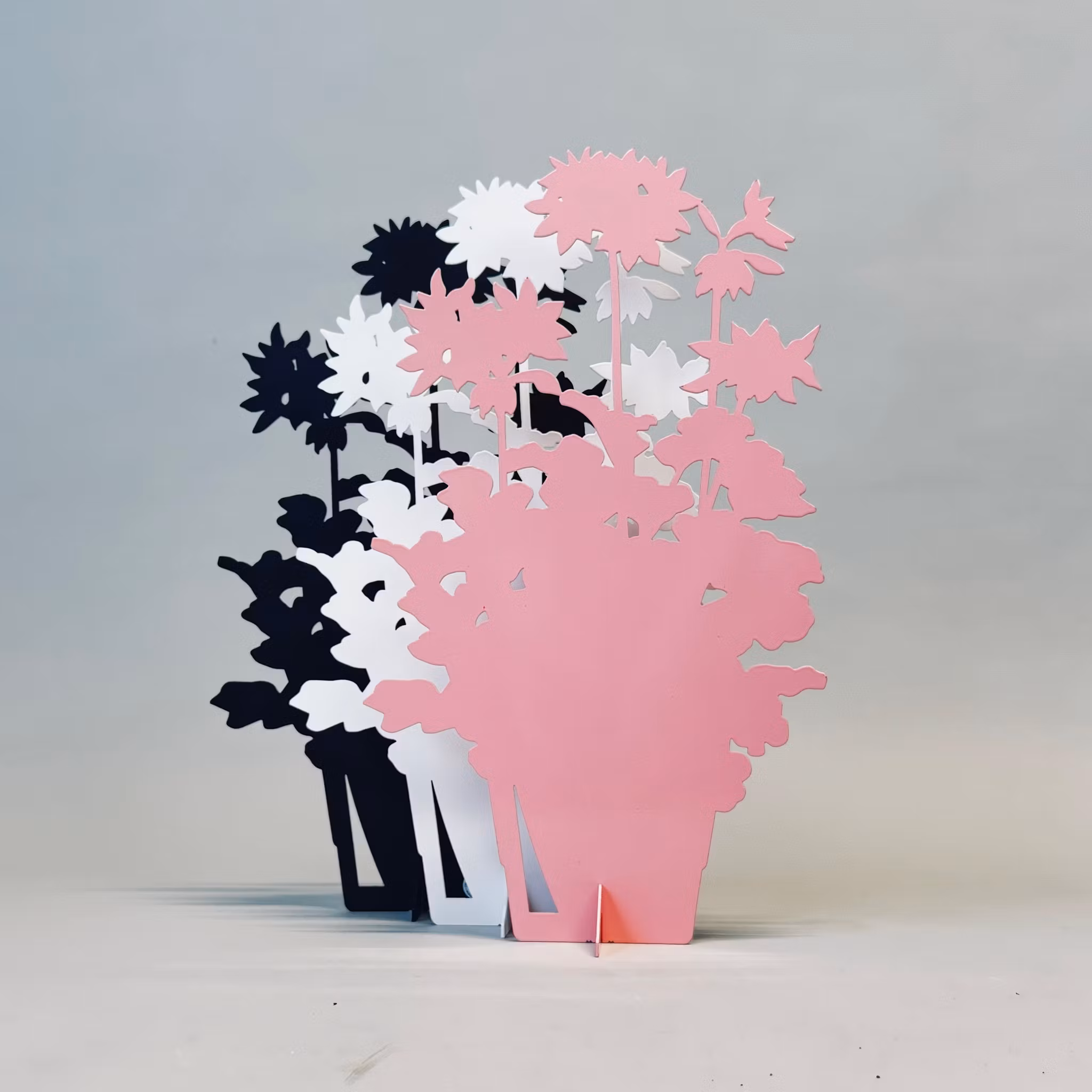 Årets Pelargon 2025 - Summer Twist Rose