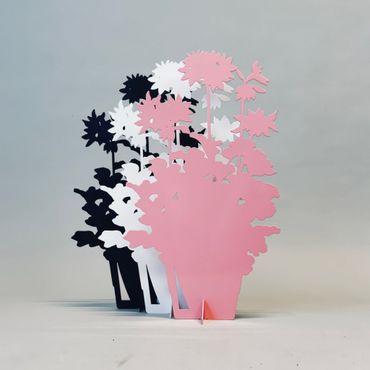 Årets Pelargon 2025 - Summer Twist Rose