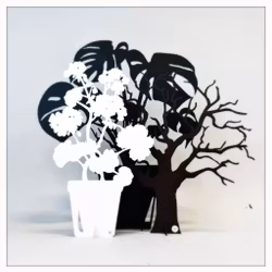 Package - Large Monstera, Tree of Destiny & Large Geranium