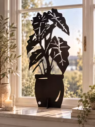 Alocasia