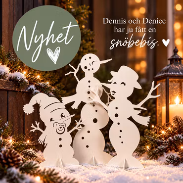 Snögubbsfamiljen