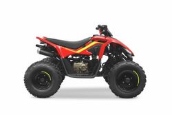 CF Moto C-Force 110 EFI Röd (Hjälm ingår!)