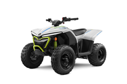 CF Moto EV110 Grön