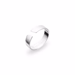 Arc Ring 5 mm Silver