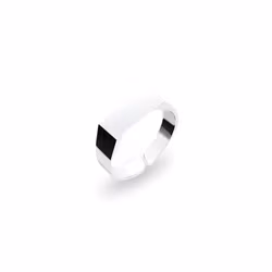 Signet Ring Silver