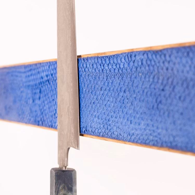 Blue Salmon Holder