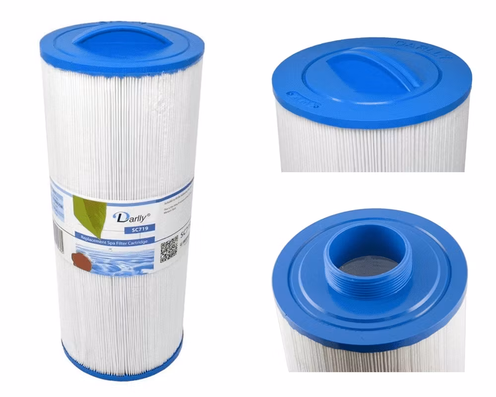 Spafilter Darlly SC719