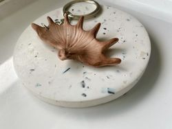 Älghorn