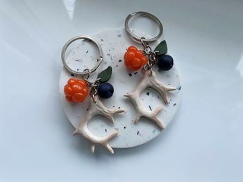 Renhorn & bär
