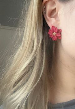 Julstjärnor studs