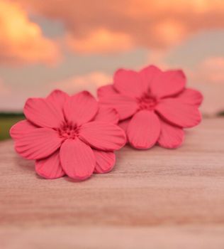 Större blommor studs (hallonröd/rosa)