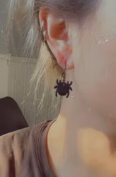 Mattsvarta spindlar på ring