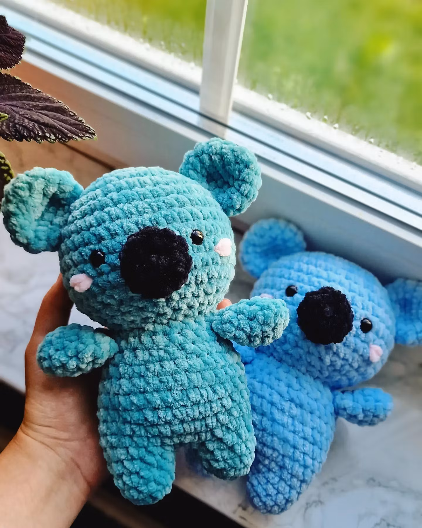Koala