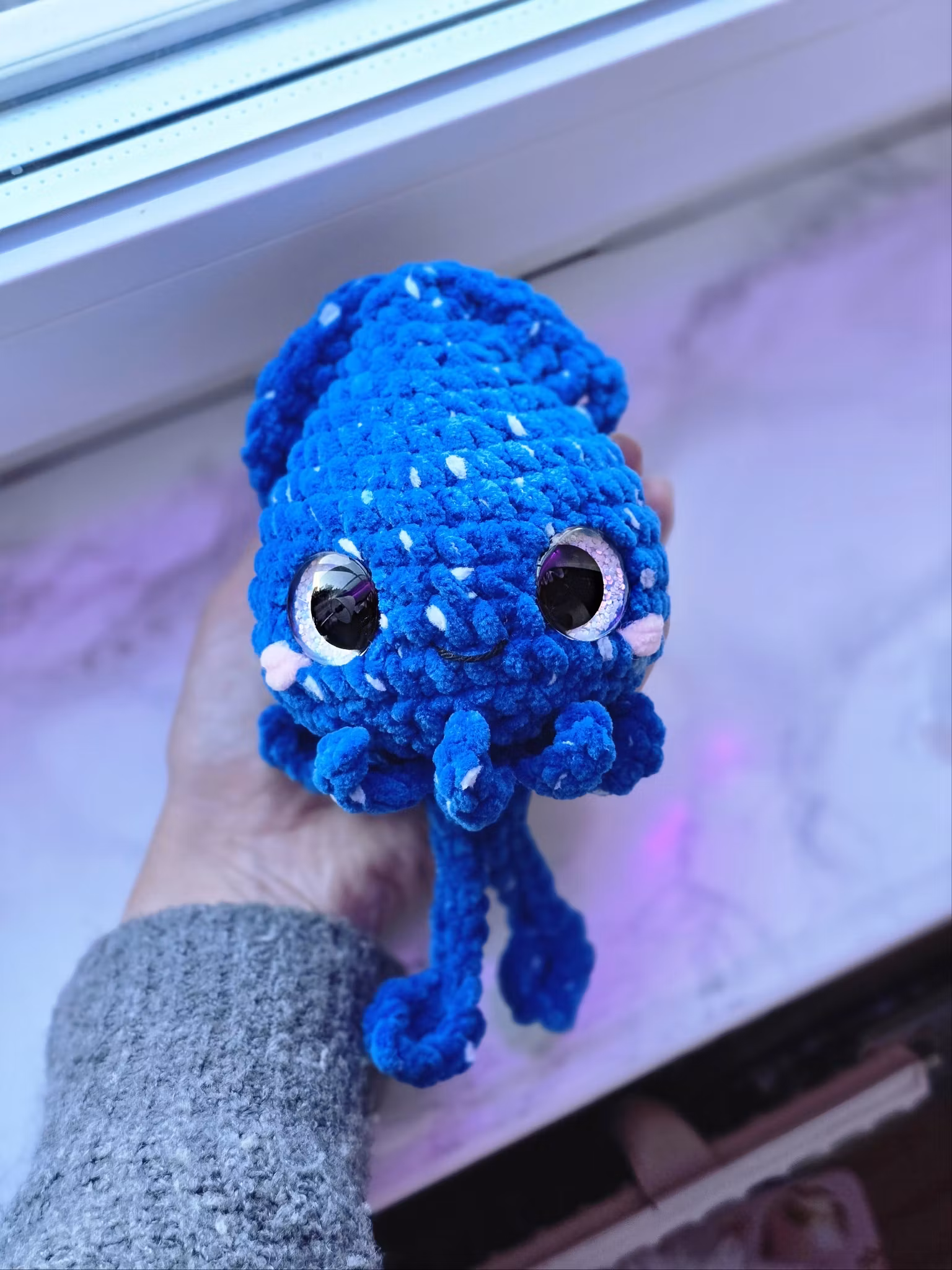 Squid