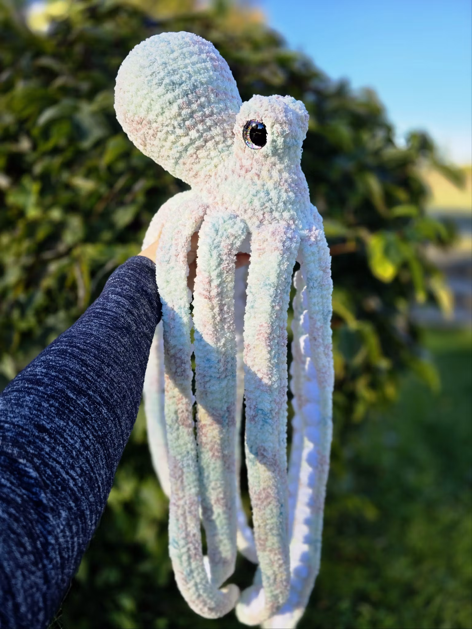 Bläckfisk