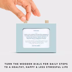 Pikkiki - Mindfulness in 90 Days Scroll Box