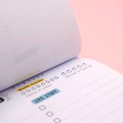 Inky in The Wild - Sort Your Life Out Daily Planner Notepad