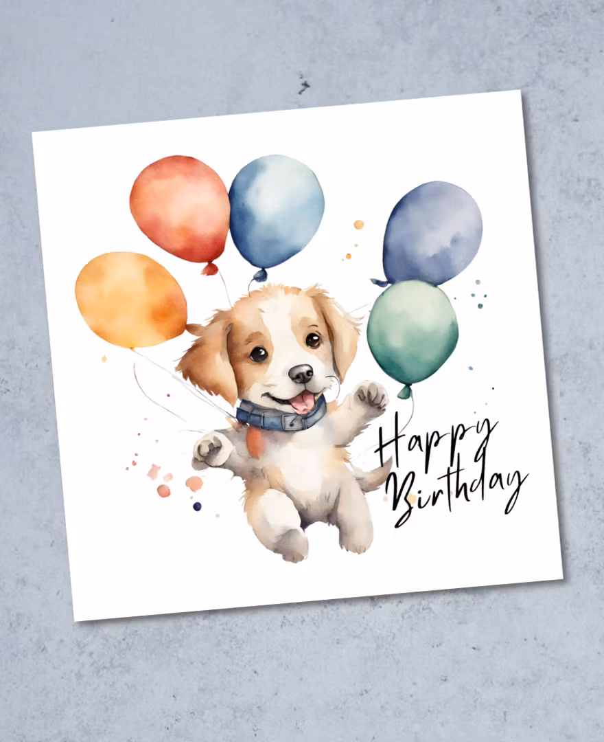 6pk Birthday Cards - Animals
