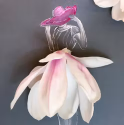 Lütteblüten kort - Magnolia