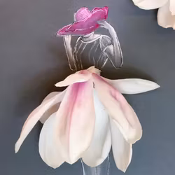 Lütteblüten kort - Magnolia