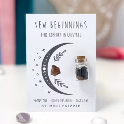 Molly & Izzie - Jar Full of Crystals - New Beginnings