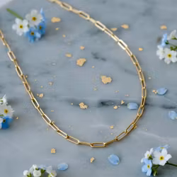 Mesa Blue - Paperclip Gold Necklace