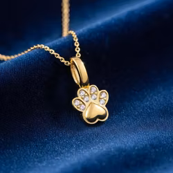 Gullkjede - Paw