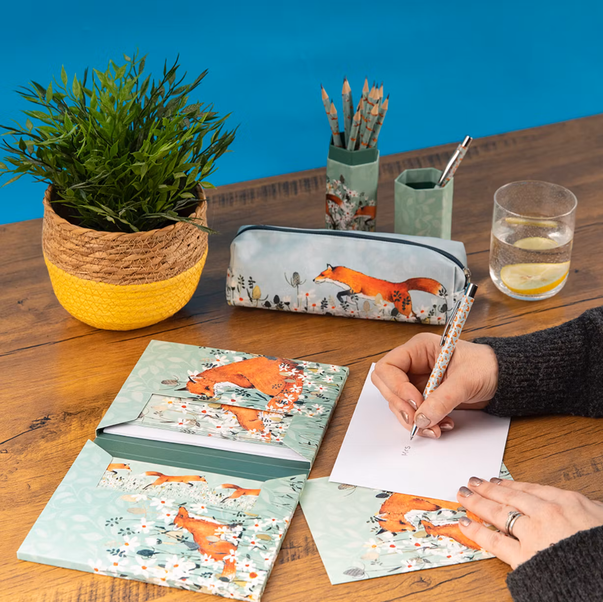 Kortpakke - 12 kort - Fox