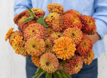 Zinnia Queen Lime Orange