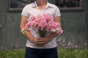 Sweet Pea Elegance Soft Pink