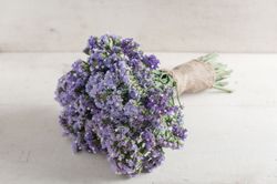 Statice Seeker Pastel Blue