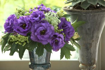 Lisianthus Corelli Blue F1