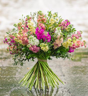 Stocks Romance Mixed