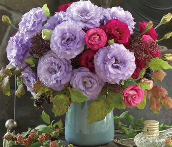 Lisianthus Corelli Lavender F1