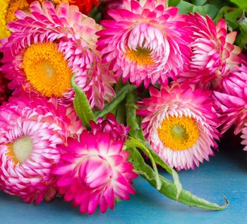 Eternell Candy Pink