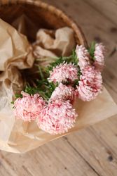 Aster Tower Chamois