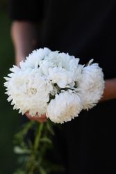 Aster Tower White