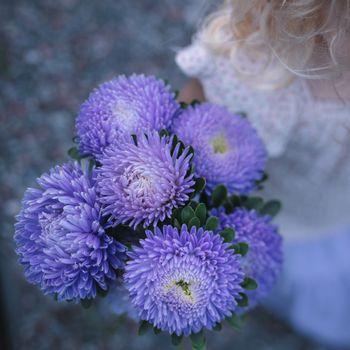 NYHET! Aster Chrisantella Moonstone