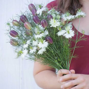 NYHET! Nigella Albion Black Pod