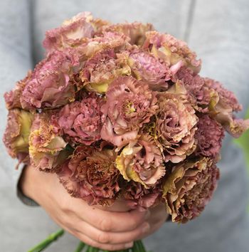 NYHET! Prärieklocka Rosanne Terracotta F1