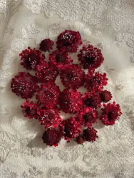 Pin Cushion Fire King