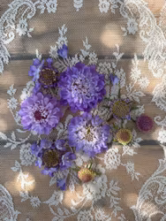 Pincushion Oxford Blue