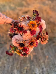 Pin Cushion Fire King